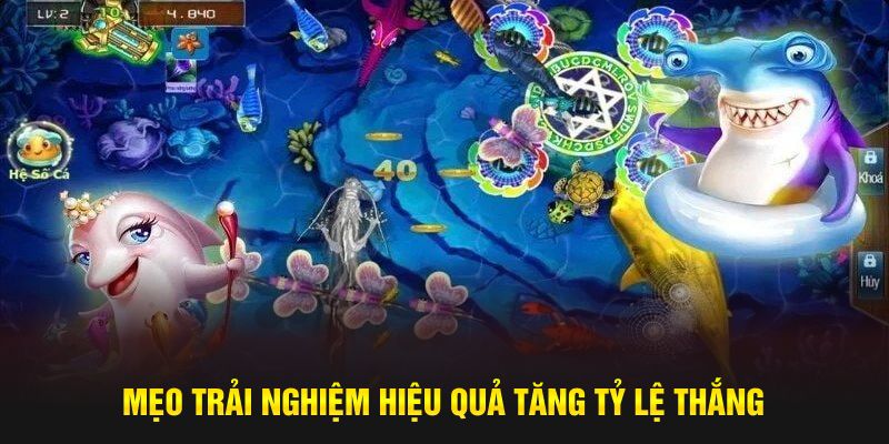 Mẹo trải nghiệm hiệu quả tăng tỷ lệ thắng 